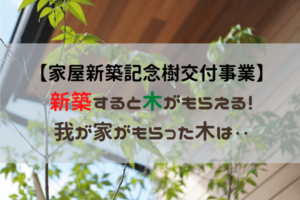 【松本市家屋新築記念樹交付事業】新築したら樹木がもらえる！申請方法、植栽方法と我が家の木の紹介。